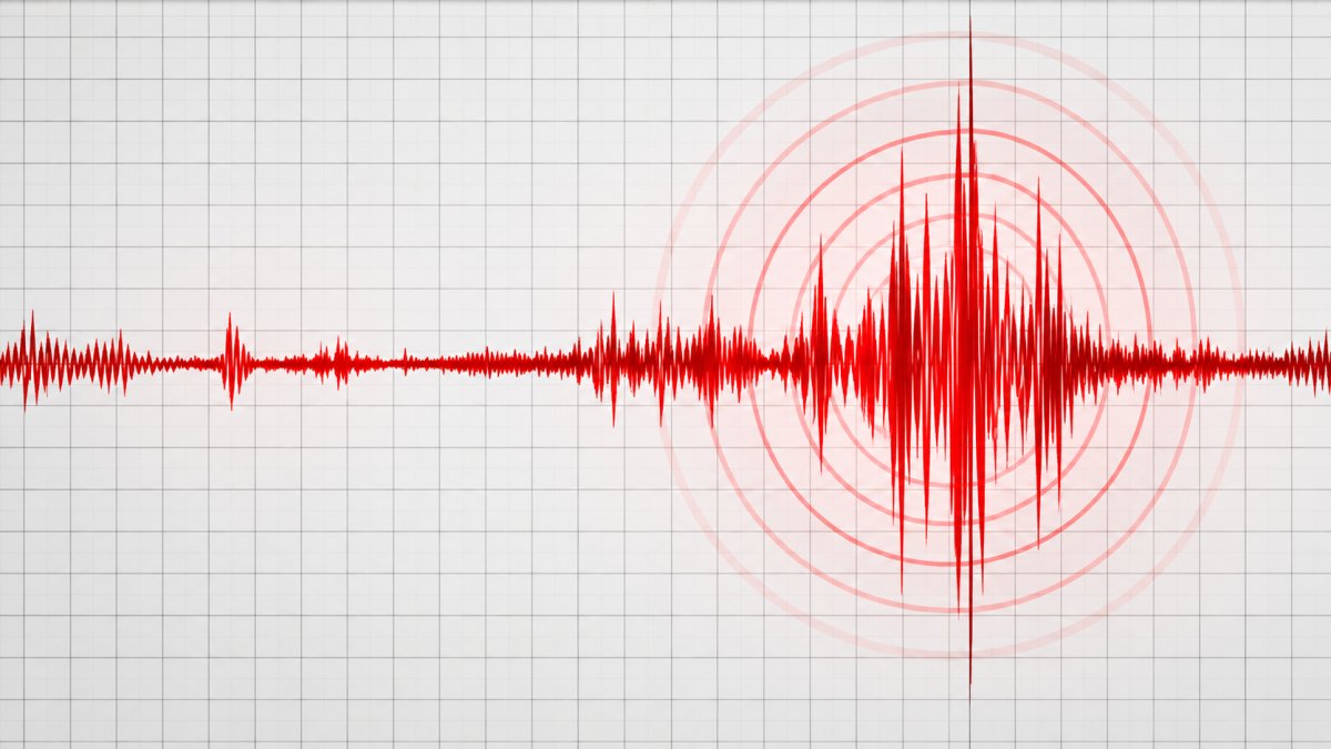 Sismo de magnitud 4.8 sacude República Dominicana este domingo