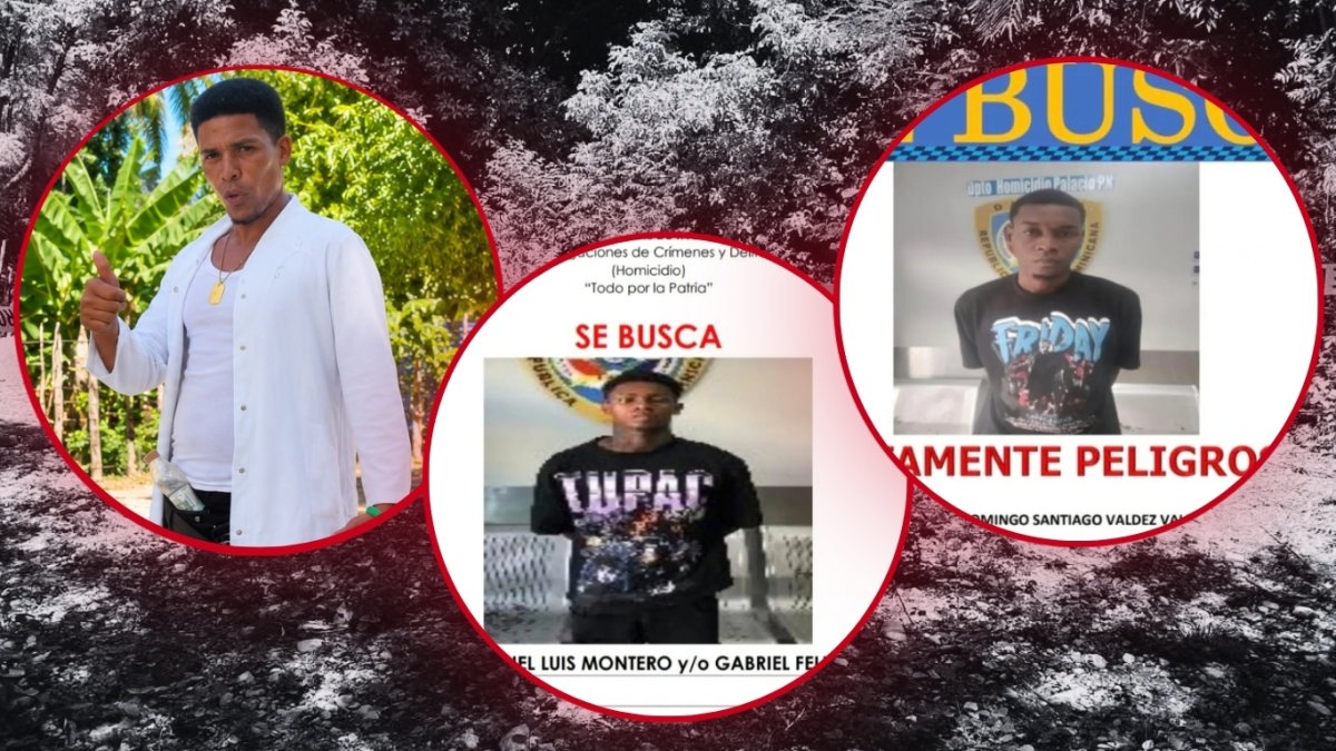 Tres hombres caen en 29 durante intervenciones policiales en Barahona y Los Alcarrizos
