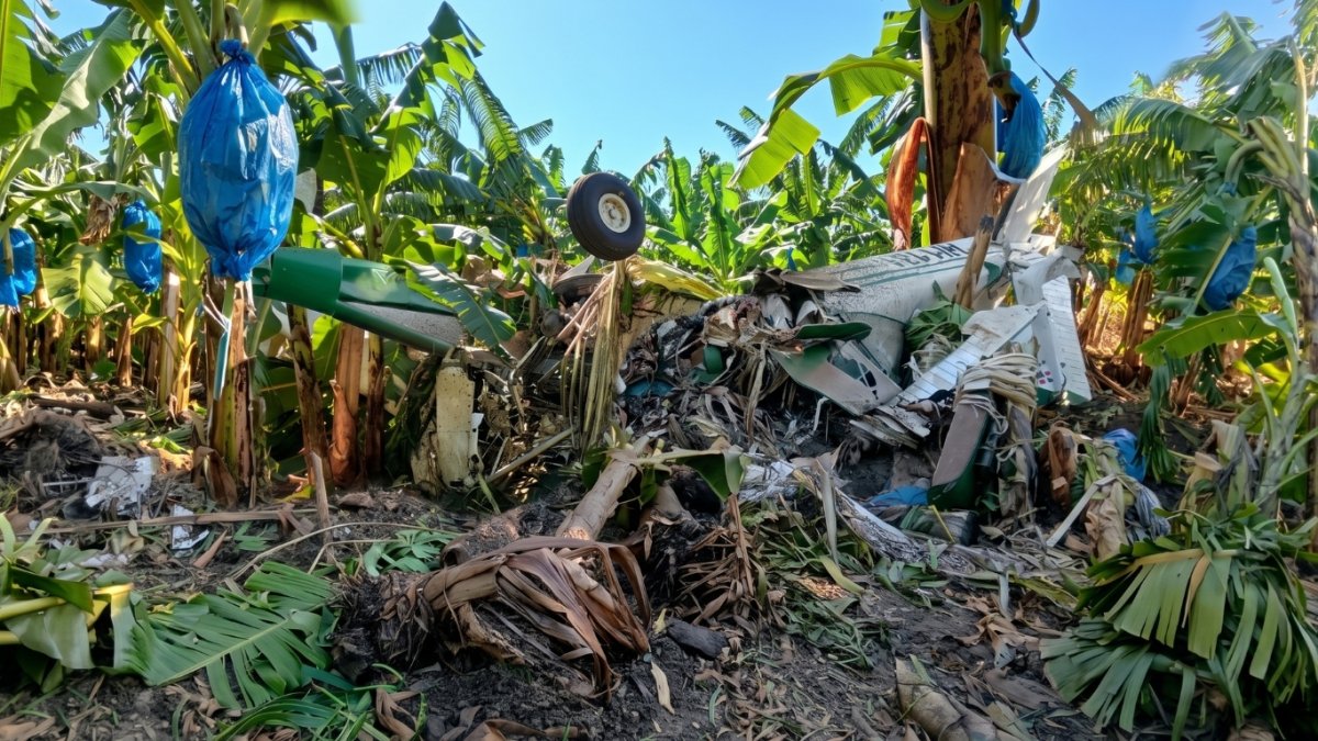 Avioneta se precipita en Hatillo Palma tras presunto impacto con un dron